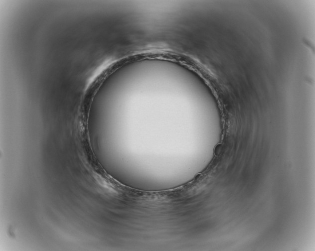 X0000097771400200803211726