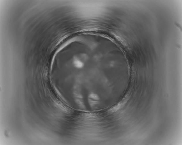 X0000097771401200803211726