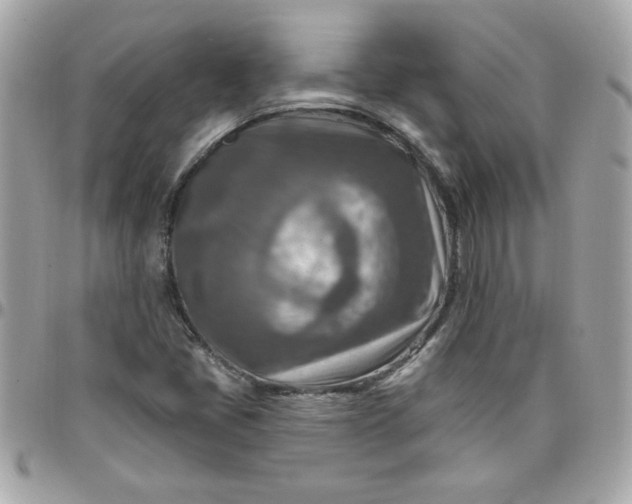 X0000097771405200803211726