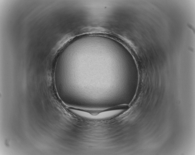 X0000097771407200803211726