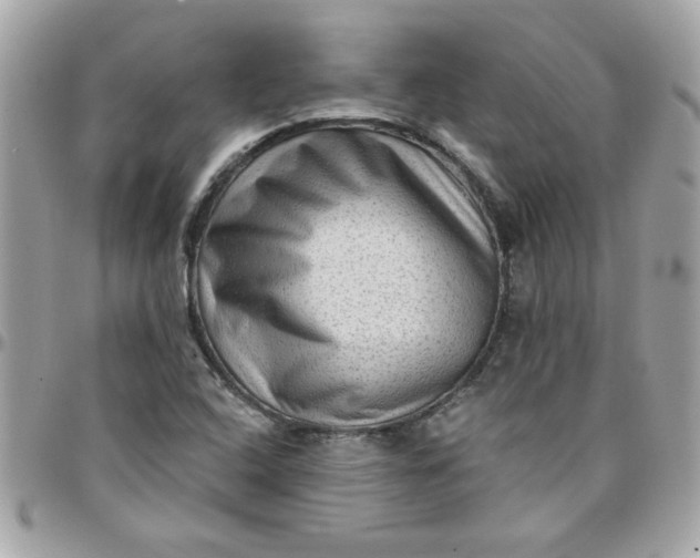X0000097771408200803211726