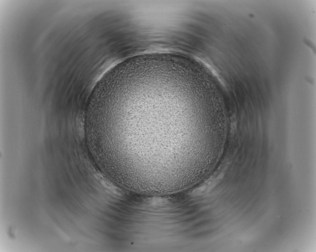 X0000097771409200803211726