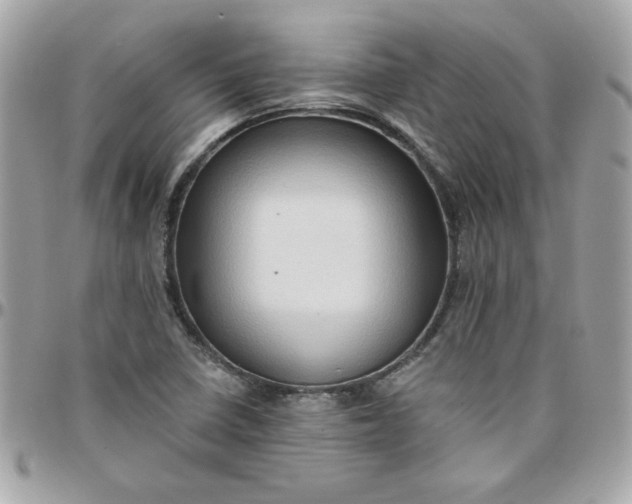 X0000097771410200803211726