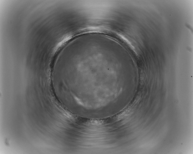 X0000097771411200803211726