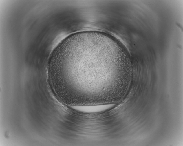 X0000097771415200803211726