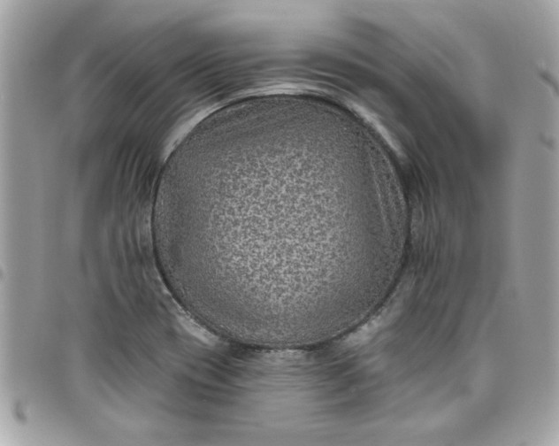 X0000097771417200803211726