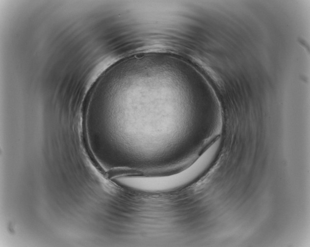 X0000097771418200803211726