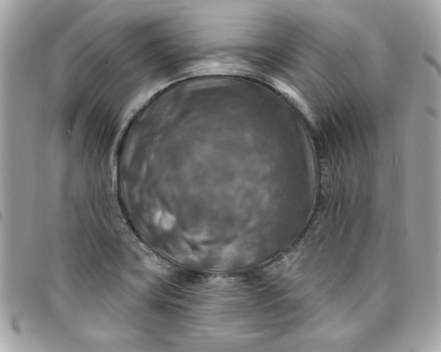 X0000097771419200803211726