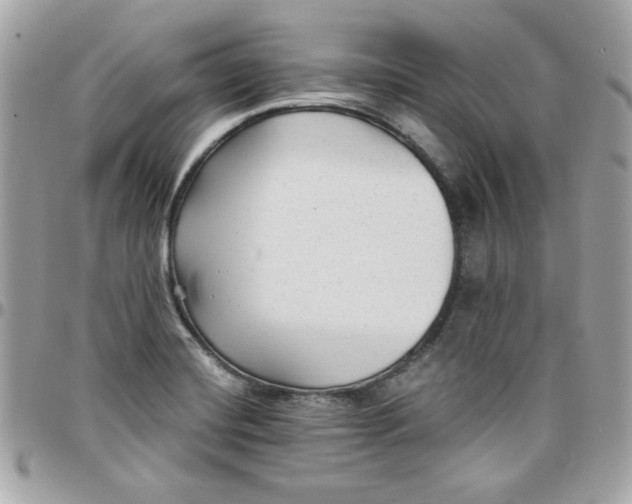 X0000097771420200803211726