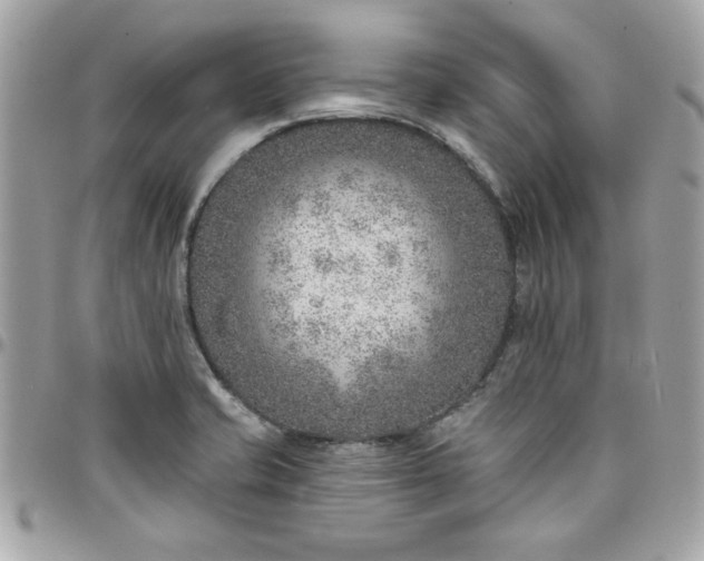 X0000097771421200803211726