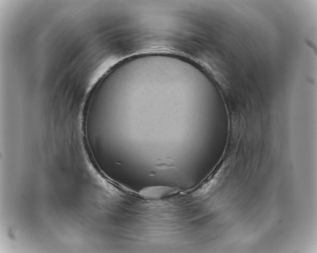 X0000097771422200803211726