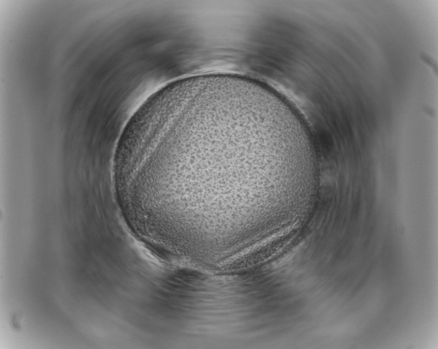 X0000097771423200803211726