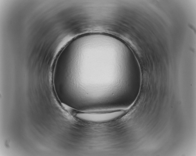 X0000097771424200803211726