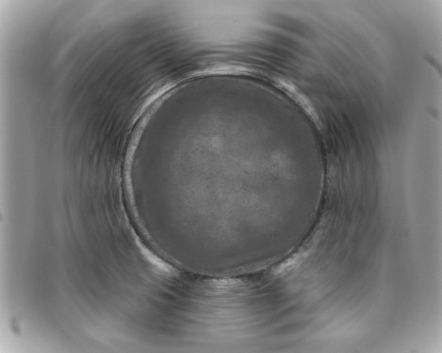 X0000097771425200803211726