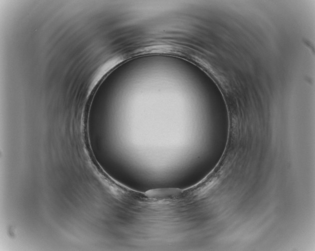 X0000097771426200803211726