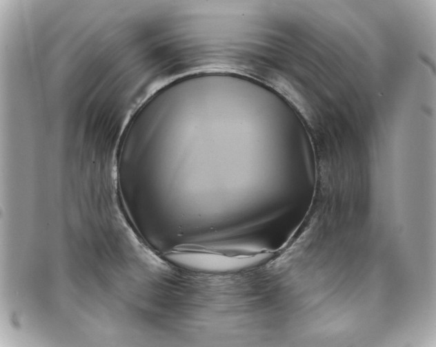 X0000097771428200803211726