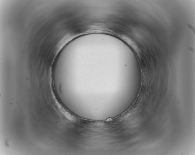 X0000097771431200803211726