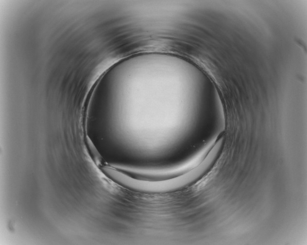 X0000097771434200803211726