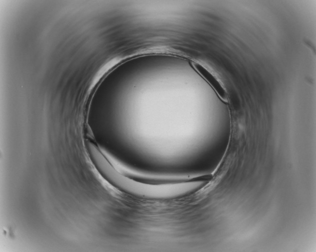 X0000097771438200803211726