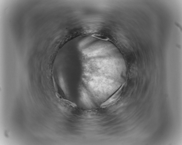 X0000097771441200803211725