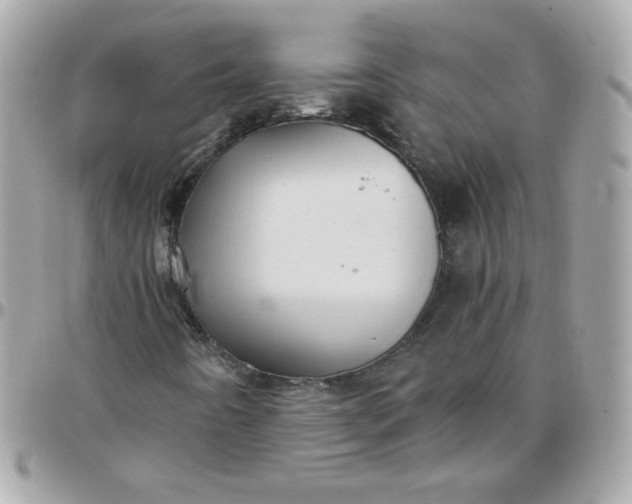 X0000097771442200803211725