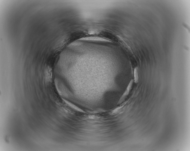 X0000097771443200803211725
