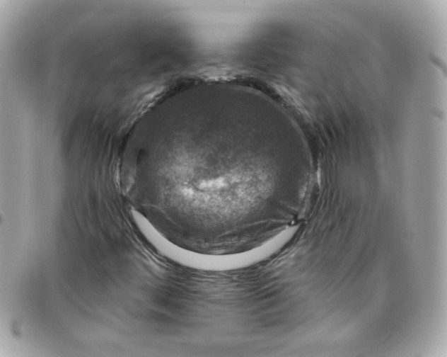 X0000097771444200803211725