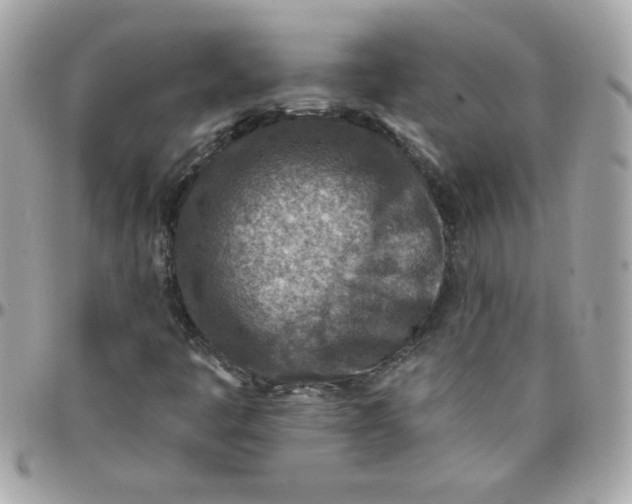 X0000097771445200803211725
