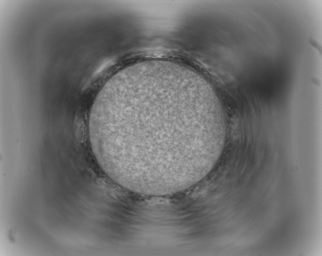 X0000097771446200803211725