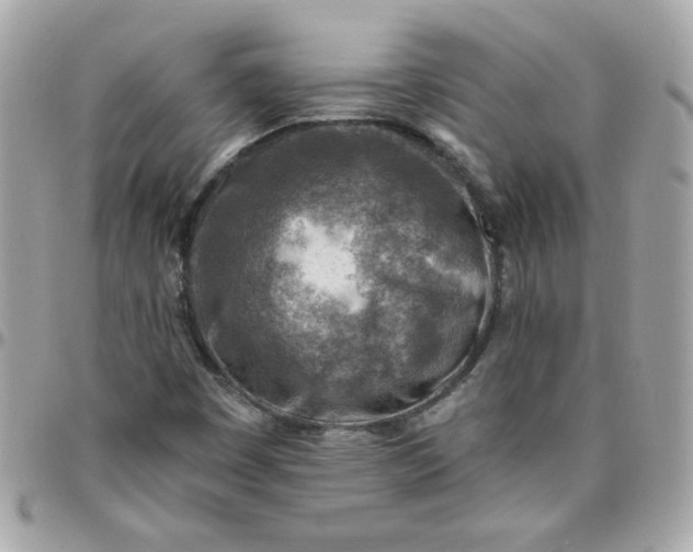 X0000097771449200803211725