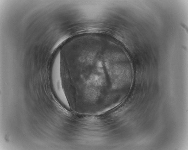 X0000097771450200803211725
