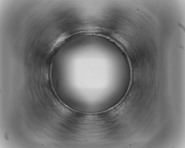 X0000097771451200803211725