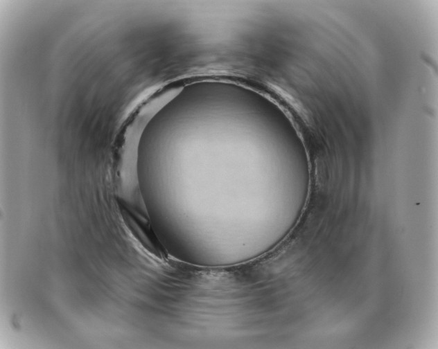 X0000097771452200803211725