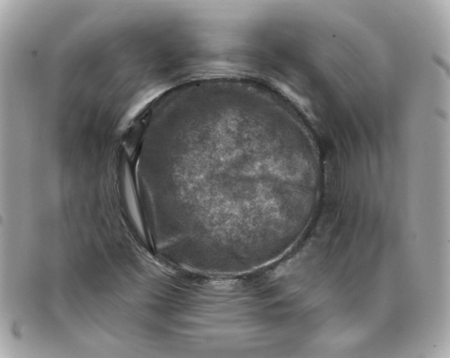 X0000097771453200803211725