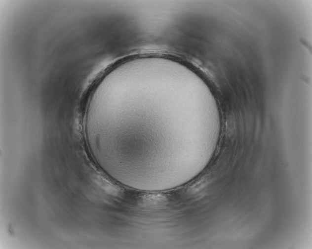 X0000097771454200803211725