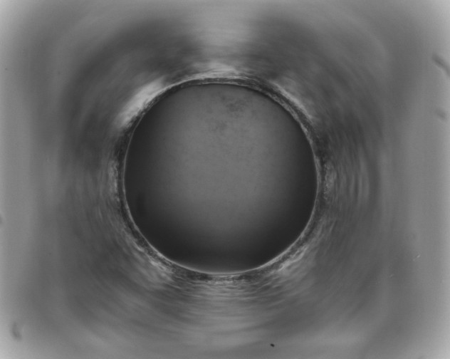 X0000097771455200803211725