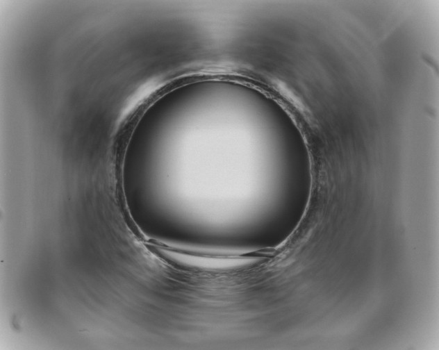 X0000097771456200803211725