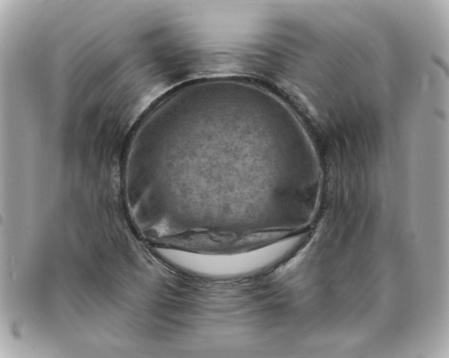 X0000097771457200803211725