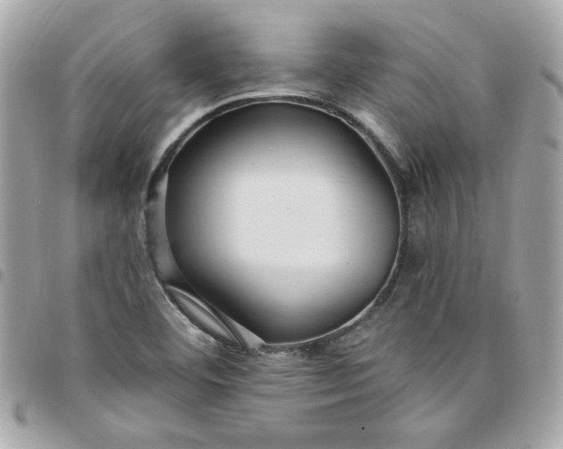 X0000097771460200803211725