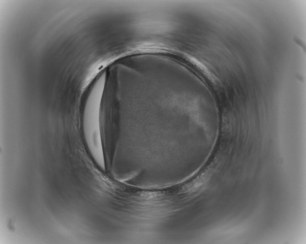 X0000097771461200803211725