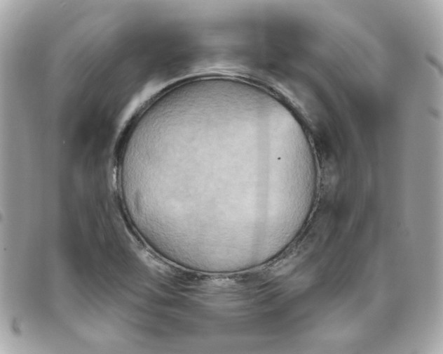X0000097771462200803211725
