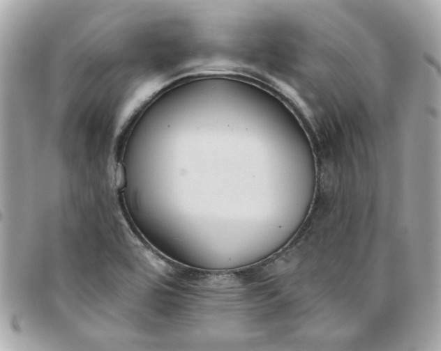 X0000097771464200803211725