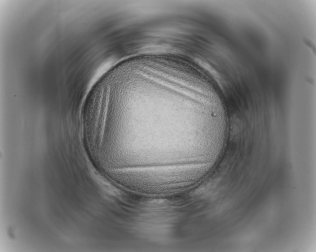 X0000097771467200803211725