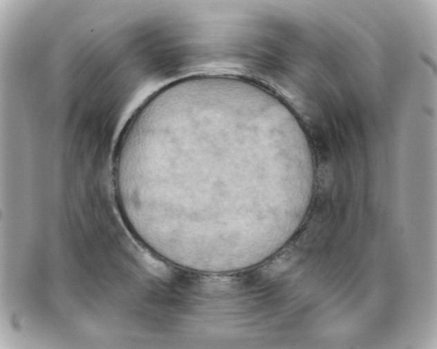 X0000097771470200803211725