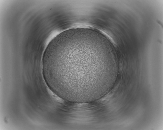 X0000097771471200803211725