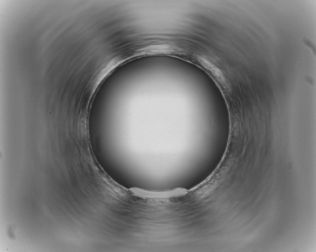 X0000097771473200803211725