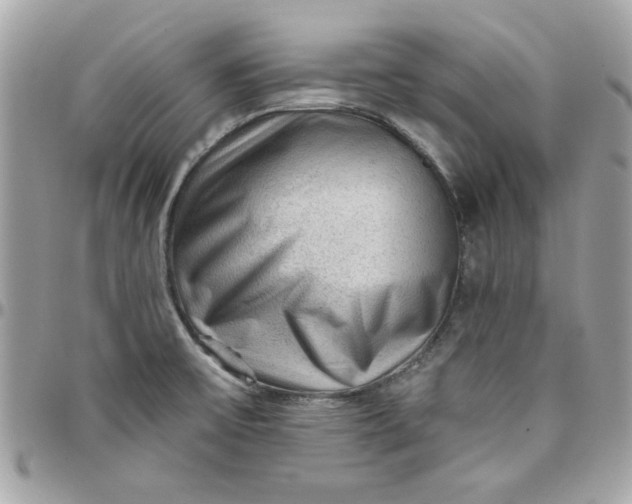 X0000097771475200803211725
