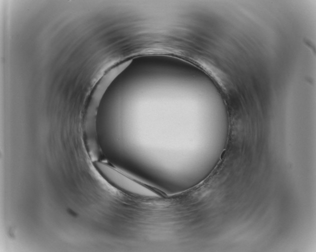 X0000097771476200803211725
