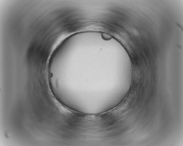X0000097771478200803211725