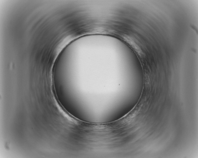 X0000097771479200803211725